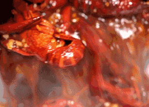 640 (2).gif