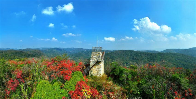 6015e594-0089-4e28-b565-b9253cc8efea.jpg 6015e594-0089-4e28-b565-b9253cc8efea.jpg