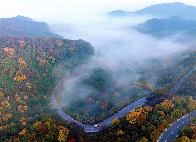 4f909aeb-eab9-42f9-a02b-141a71559555 (1).jpg 4f909aeb-eab9-42f9-a02b-141a71559555 (1).jpg