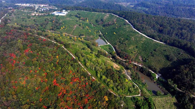 4f909aeb-eab9-42f9-a02b-141a71559555 (7).jpg 4f909aeb-eab9-42f9-a02b-141a71559555 (7).jpg