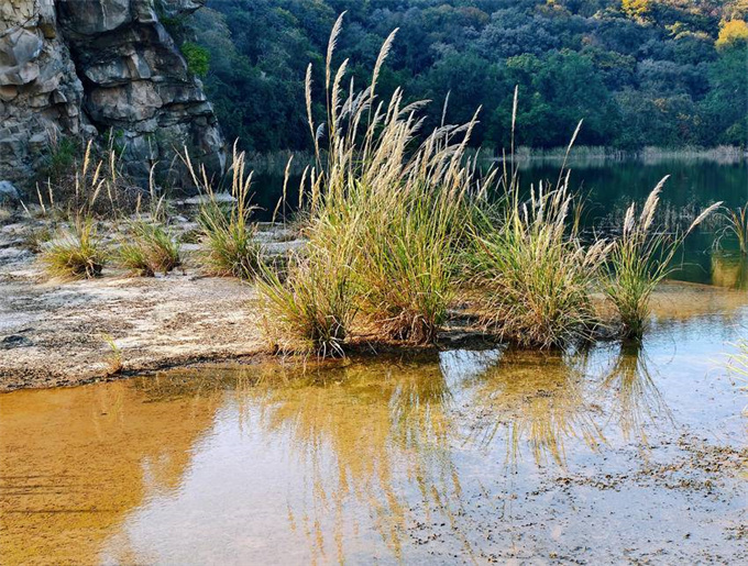 4f909aeb-eab9-42f9-a02b-141a71559555 (9).jpg 4f909aeb-eab9-42f9-a02b-141a71559555 (9).jpg