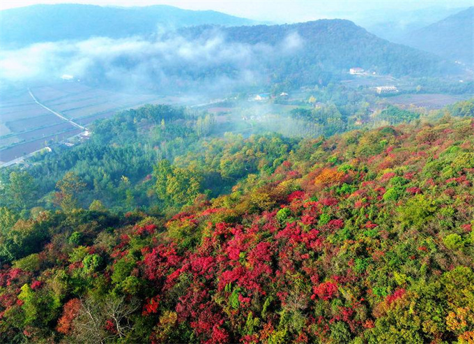 4f909aeb-eab9-42f9-a02b-141a71559555 (10).jpg 4f909aeb-eab9-42f9-a02b-141a71559555 (10).jpg