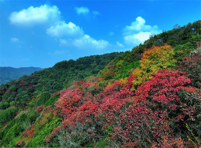 62a2df3c-962e-4f09-a325-2d3b683c1224.jpg 62a2df3c-962e-4f09-a325-2d3b683c1224.jpg